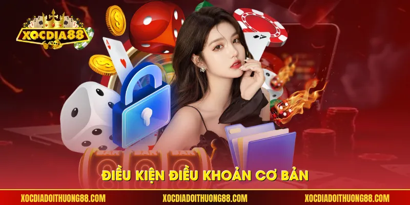 Điều kiện điều khoản cơ bản